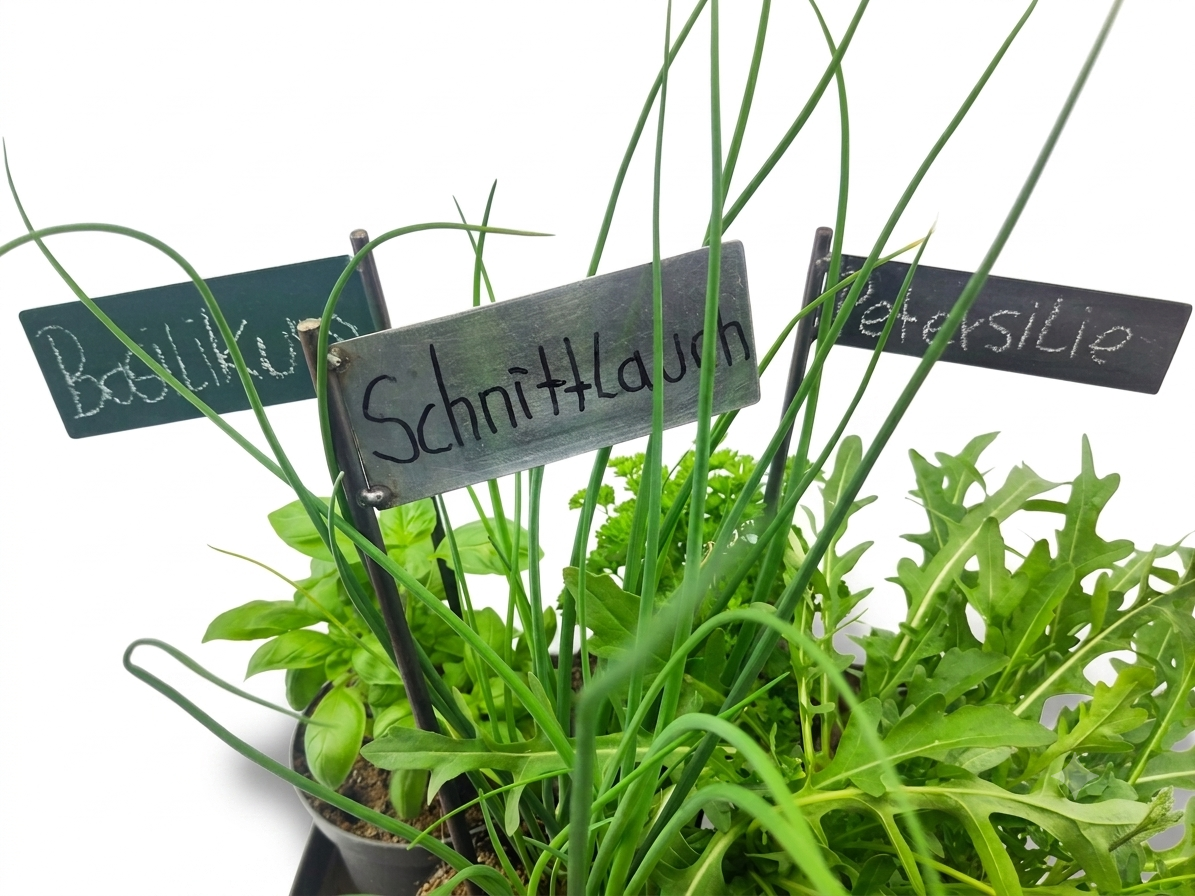 Frischer Kräutertopf mit beschrifteten Sorten Schnittlauch, Petersilie, Basilikum und Rucola